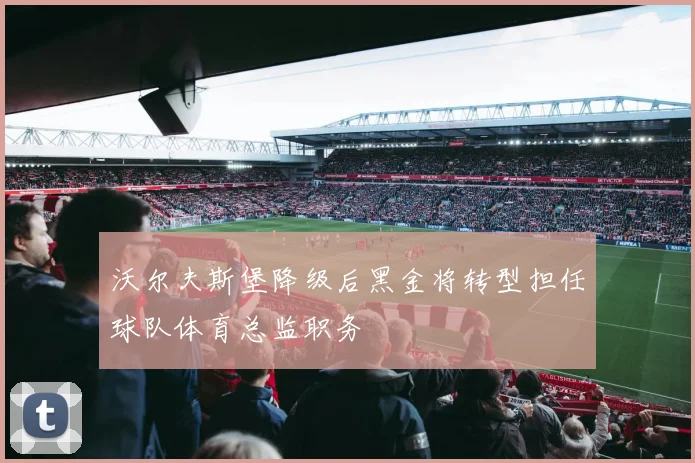 沃尔夫斯堡降级后黑金将转型担任球队体育总监职务