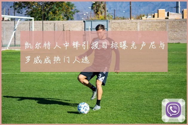 凯尔特人中锋引援目标曝光卢尼与罗威成热门人选